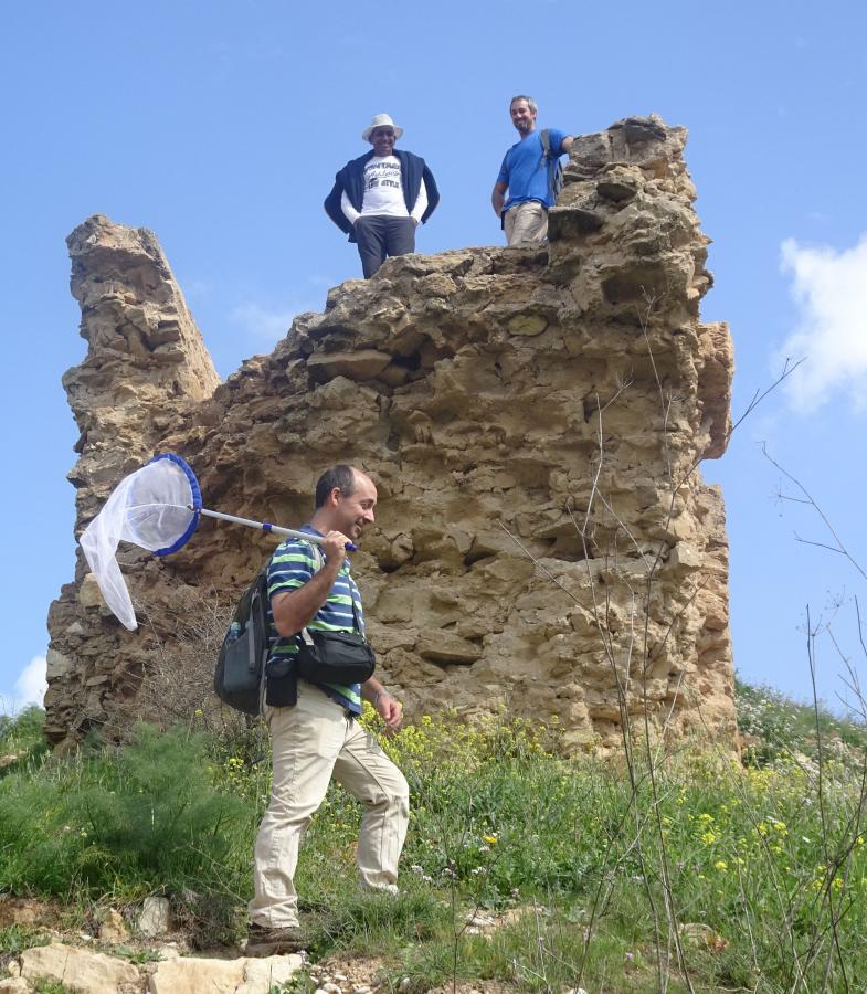 Hagai, Muki and Atul above