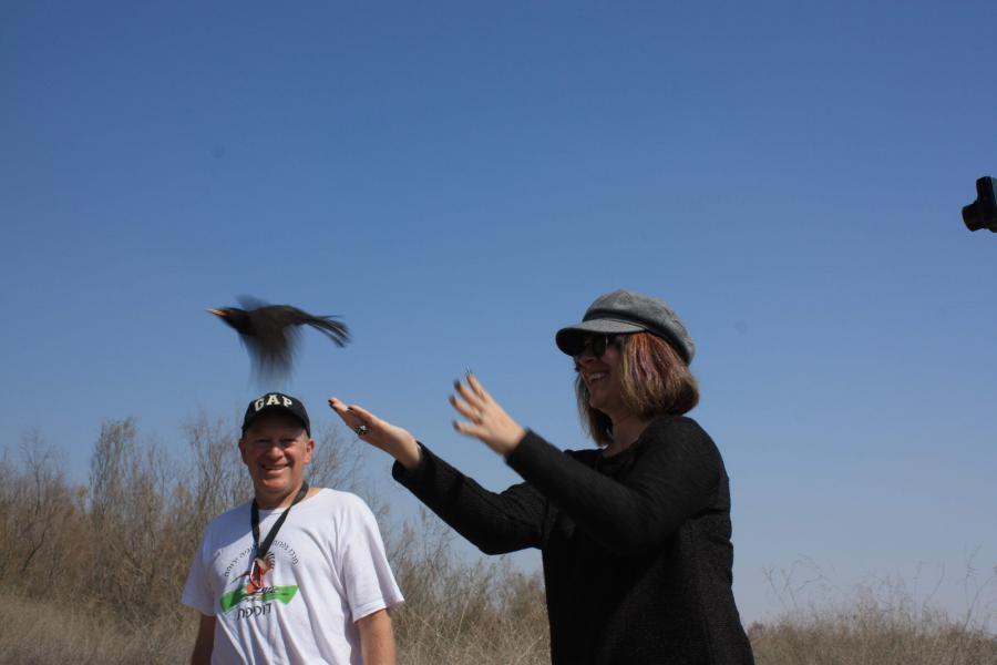 Ozlem releases a ringed blackbird
